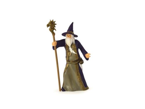 Le sorcier
