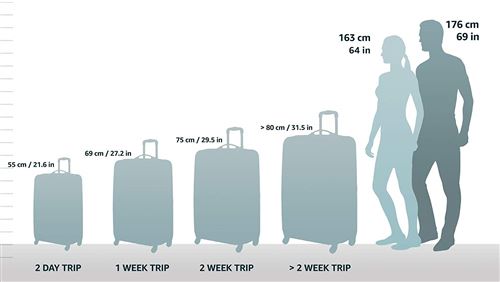 Peli 1525 Air Valise De Protection Avec Mousse Pour Appareil Photo Noir