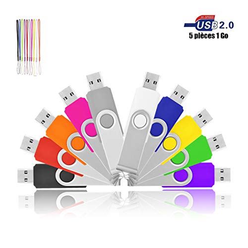VIEKUU Clef USB 2.0 1 GO Lot de 10 Pièces Flash Drive pour Ordinateur, Télévision, Automobile, etc (Noir Gris Blanche Jaune Orange R