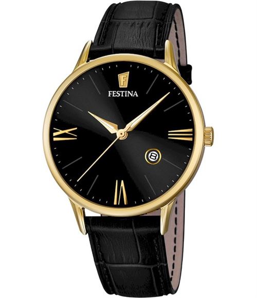 Festina Homme watch F16825-4