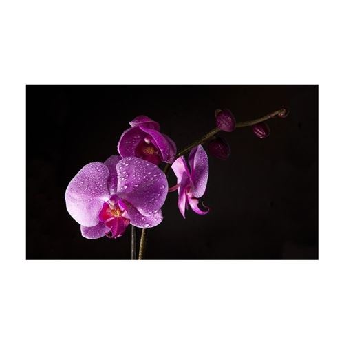 Artgeist - Papier peint - de bon goût orchidée