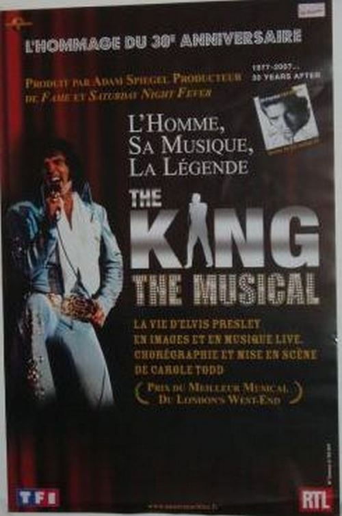 ELVIS PRESLEY - 80x120 cm - AFFICHE / POSTER
