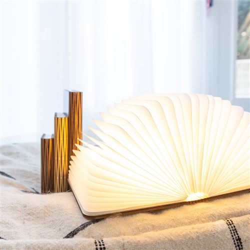 13€96 sur Lampe LED Origami Façon Livre - Achat & prix