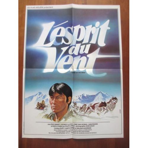 L'Esprit du Vent AFFICHE CINEMA ORIGINALE