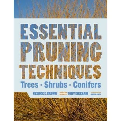 Essential Pruning Techniques