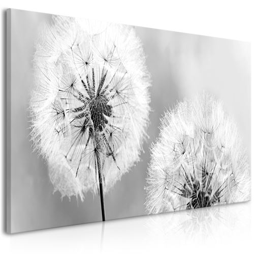 Paris Prix - Tableau Imprimé fluffy Dandelions Grey Wide 45x100cm