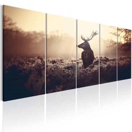 Tableau - Stag in the Wilderness .Taille : 225x90