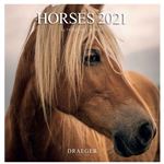 CAL21 GF CHEVAUX
