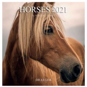 CAL21 GF CHEVAUX