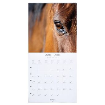 CAL21 GF CHEVAUX