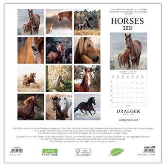 CAL21 GF CHEVAUX