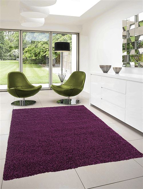 Tapis Dream 80 X 150 4000 Lila Pile : 100 % Pp Heatset /Pile Hauteur : 50 Mm/Poids : 2600 Gr