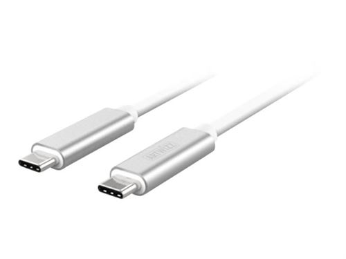 Artwizz - Câble USB - 24 pin USB-C (M) pour 24 pin USB-C (M) - USB 3.0 - 1 m - argent