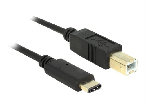 Delock - Câble USB - USB-C (M) pour USB type B (M) - USB 2.0 - 3 A - 2 m - noir