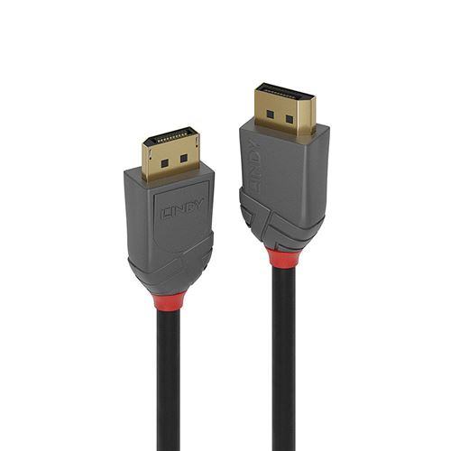 Lindy Anthra Line - DisplayPort kabel - DisplayPort (M) naar DisplayPort (M) - DisplayPort 1.2 - 10 m - rond, 4K ondersteuning - zwart
