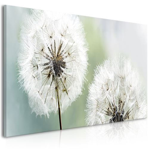 Paris Prix - Tableau Imprimé fluffy Dandelions Green Wide 45x100cm