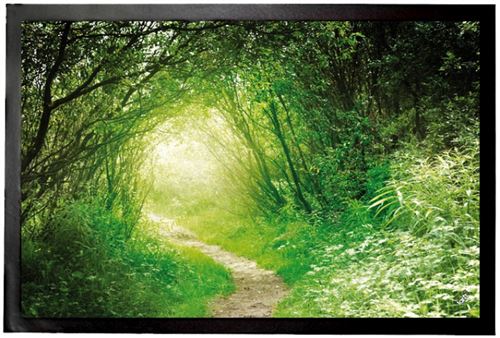 Forêts Paillasson Essuie-Pieds - Forêt Verte, Sentier Lumineux (60x40 cm)