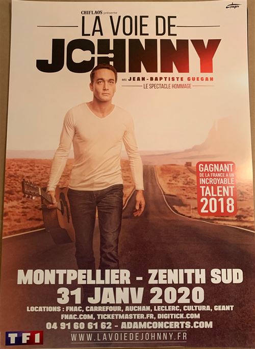La Voie de Johnny Hallyday - Guegan - 40x60cm - Affiche