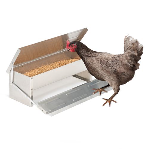 Mangeoire XL pour poules distributeur automatique à pédale en acier 5 kg