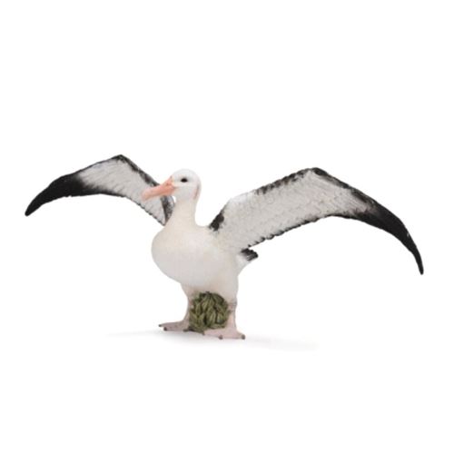 Figurine albatros hurleur figurines collecta