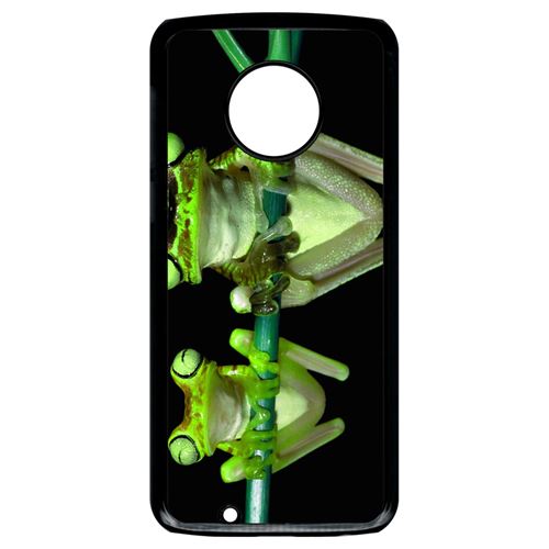 Coque motorola moto g6 deux grenouilles vertes suspendues