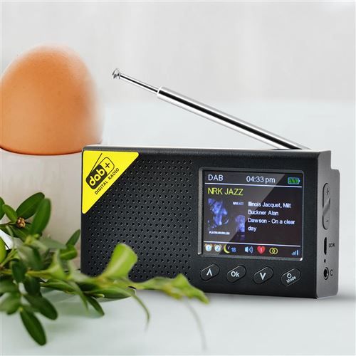 Radio numérique Récepteur FM YOUKUKE 2,4 Portable DAB + FM / Réveil Haut-parleur Bluetooth