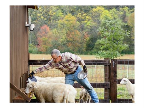 Tapo TC40GW V1 - Caméra de surveillance réseau - panoramique / inclinaison - extérieur - anti-poussière/résistant aux intempéries - couleur (Jour et nuit) - 1920 x 1080 - 1080p - audio - sans fil - Wi-Fi - 3G, 4G, LTE - H.264 - DC 12 V