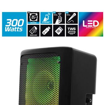Enceinte Karaoké Bluetooth Avec 2 Micros Sans Fil - Haut-Parleur Portable Avec Lumières LED Pour Fêtes