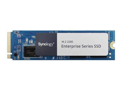 Synology SNV5420-1600G 1600 Go