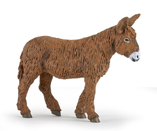 Baudet du Poitou