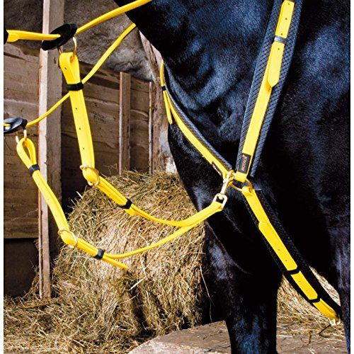 T De T Jaune Collier De Chasse Pour Cheval - Image 3
