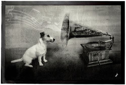 Chiens Paillasson Essuie-Pieds - His Master's Voice, Jack Russell Terrier (40x60 cm)