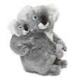 Peluche koala sale wwf