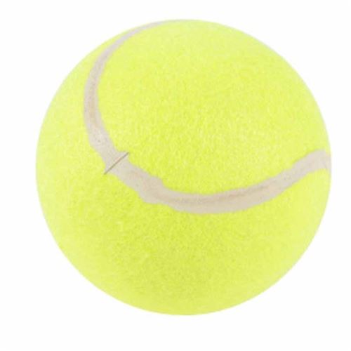 Paris Prix - Jouet Pour Chien balle De Tennis 13cm Jaune