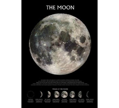 Maxi Poster 61 x 91,5 cm Phases of the Moon The Moon