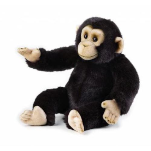 National Geographic peluche chimpanzé junior 30 cm noir