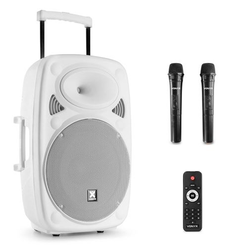 Vonyx Verve46 Enceinte Sono Portable 1000W, Enceinte Bluetooth Puissante
