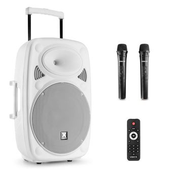 Enceinte Portable Puissante 1000w