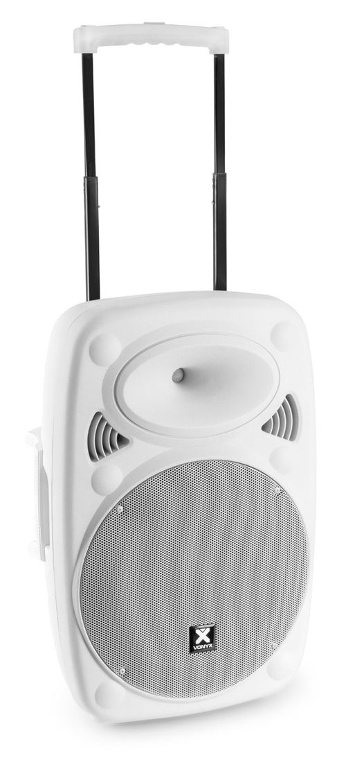 Vonyx Verve46 Enceinte Sono Portable 1000W, Enceinte Bluetooth