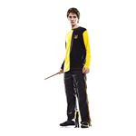 STAR CUTOUTS Figurine en carton – Cédric Diggory - Harry Potter - Haut 185 cm