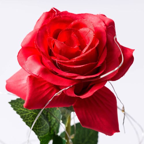 YSBERLa belle et la bête Rose en soie rouge et lumière LED avec pétales tombés dans un dôme de verre sur une base en bois Warm White Light Rose Shade 