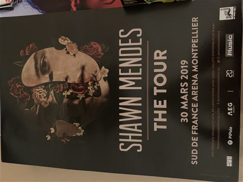 Shawn MENDES - Thge Tour - 40x60cm - Affiche État correct - N/A reconditionné disponible sur Fnac