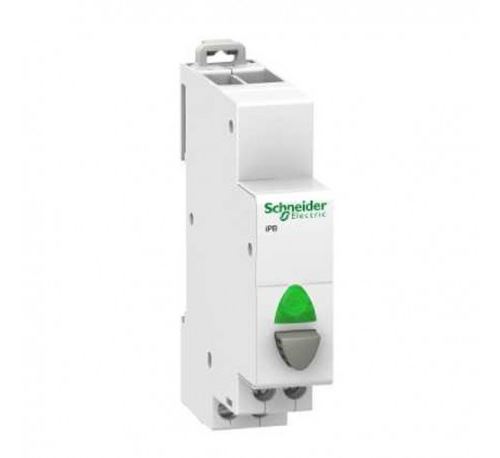 Bouton-poussoir lumineux - 1 NO gris + voyant vert - 12...48 VCA/VCC - Acti9 - iPB