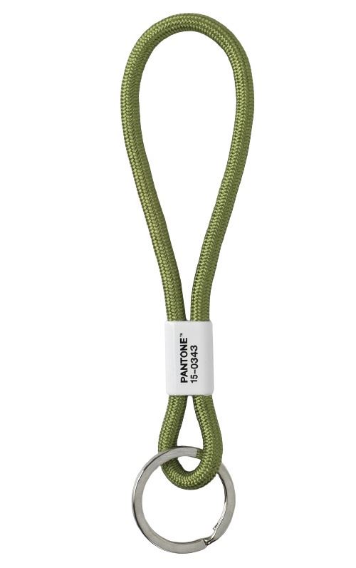 Pantone porte-clés 18 cm nylon vert