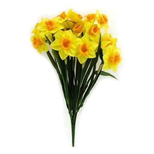 Jonquilles jaunes