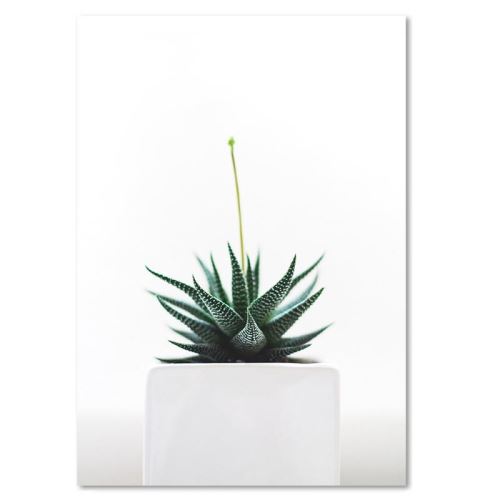 Cadre mural déco Tableau imprimé moderne Canevas Jeune plantes 30x40