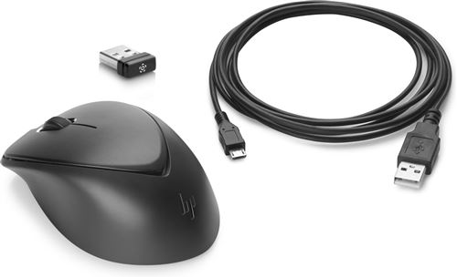 HP Premium - Souris - droitiers et gauchers - laser - 3 boutons - sans fil - 2.4 GHz - récepteur sans fil USB - noir - pour EliteBook 645 G9, 655 G9; ProBook 445 G9, 44X G7, 455 G9; ProBook x360; Stream Pro 11 G4