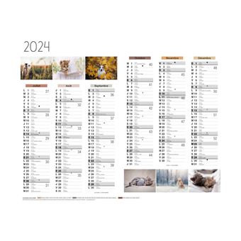 Calendrier Mural 2024 - 12 Mois - 27 x 21 cm - Animaux - Calendrier  planning et éphéméride - Achat & prix
