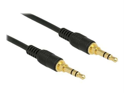 Delock - Câble audio - mini jack stéréo mâle pour mini jack stéréo mâle - 1 m - noir