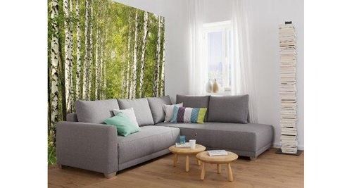 Sunny decor poster birkenwald 8 parties 368 x 254 cm